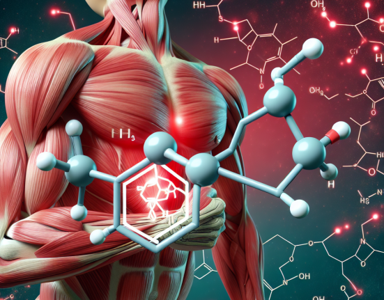 Cipionato de testosterona y congestión muscular prolongada
